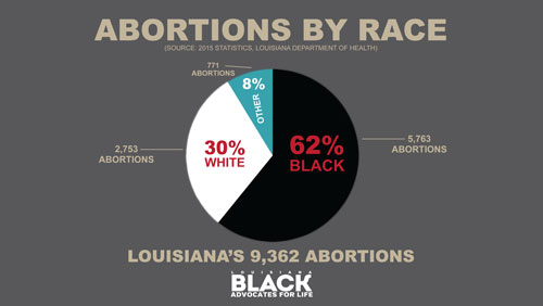 2015BLACKABORTION-PIE-CHART.jpg