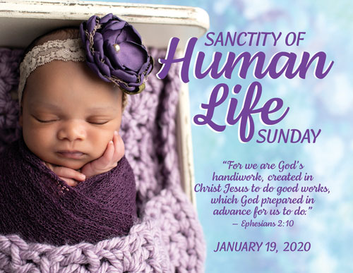 Sanctity of Human Life Sunday | Louisiana Black Advocates